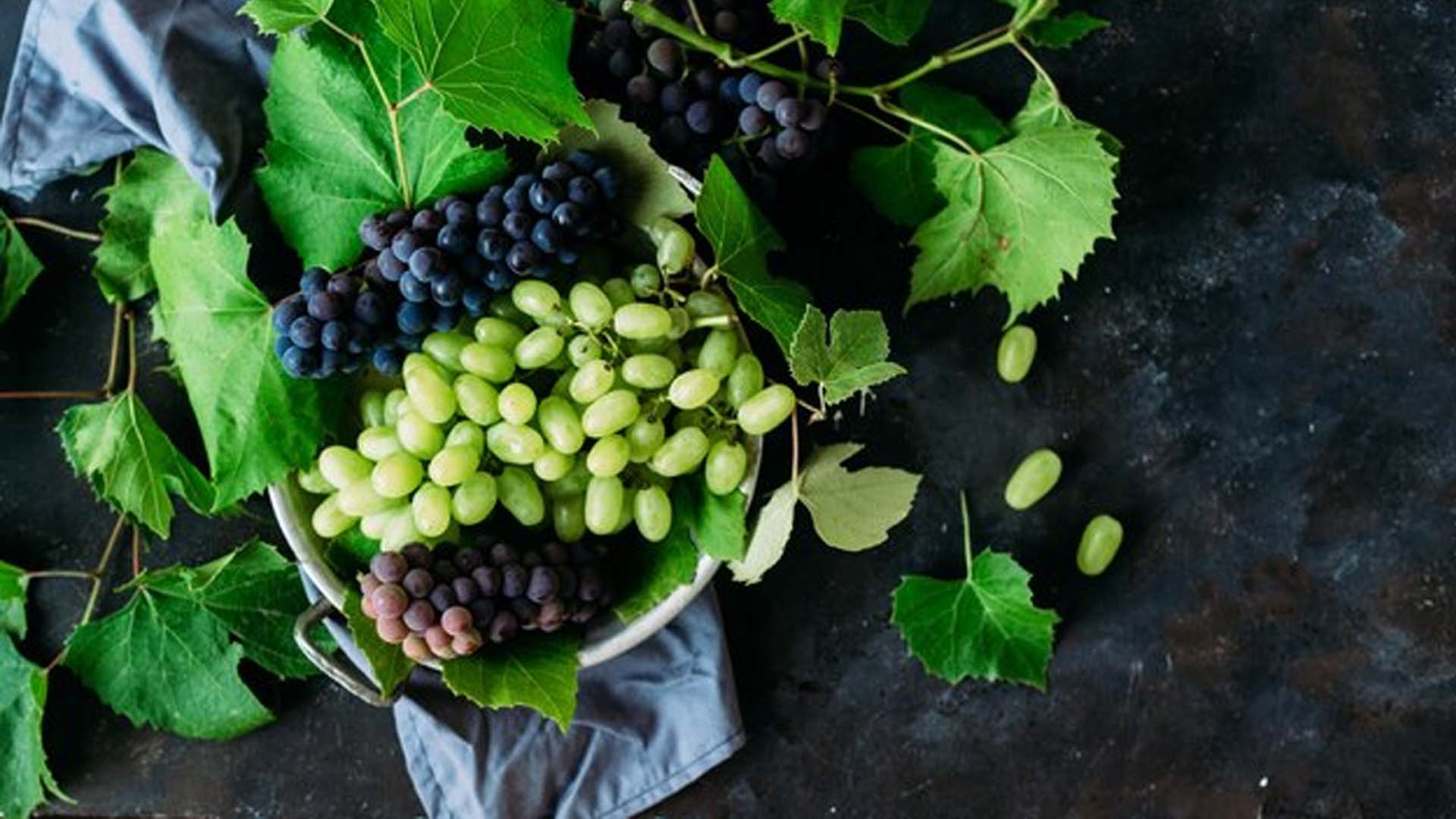 Different Types of Grapes