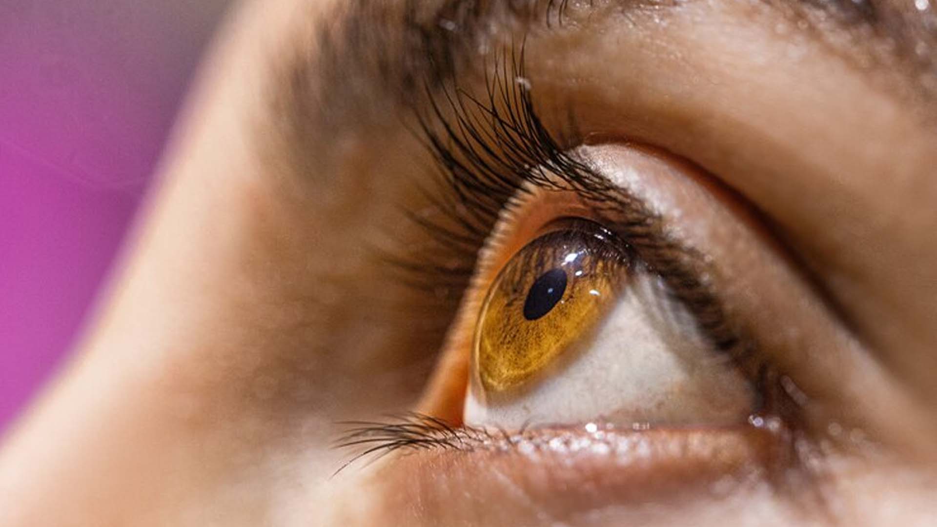 Hazel brown Eye
