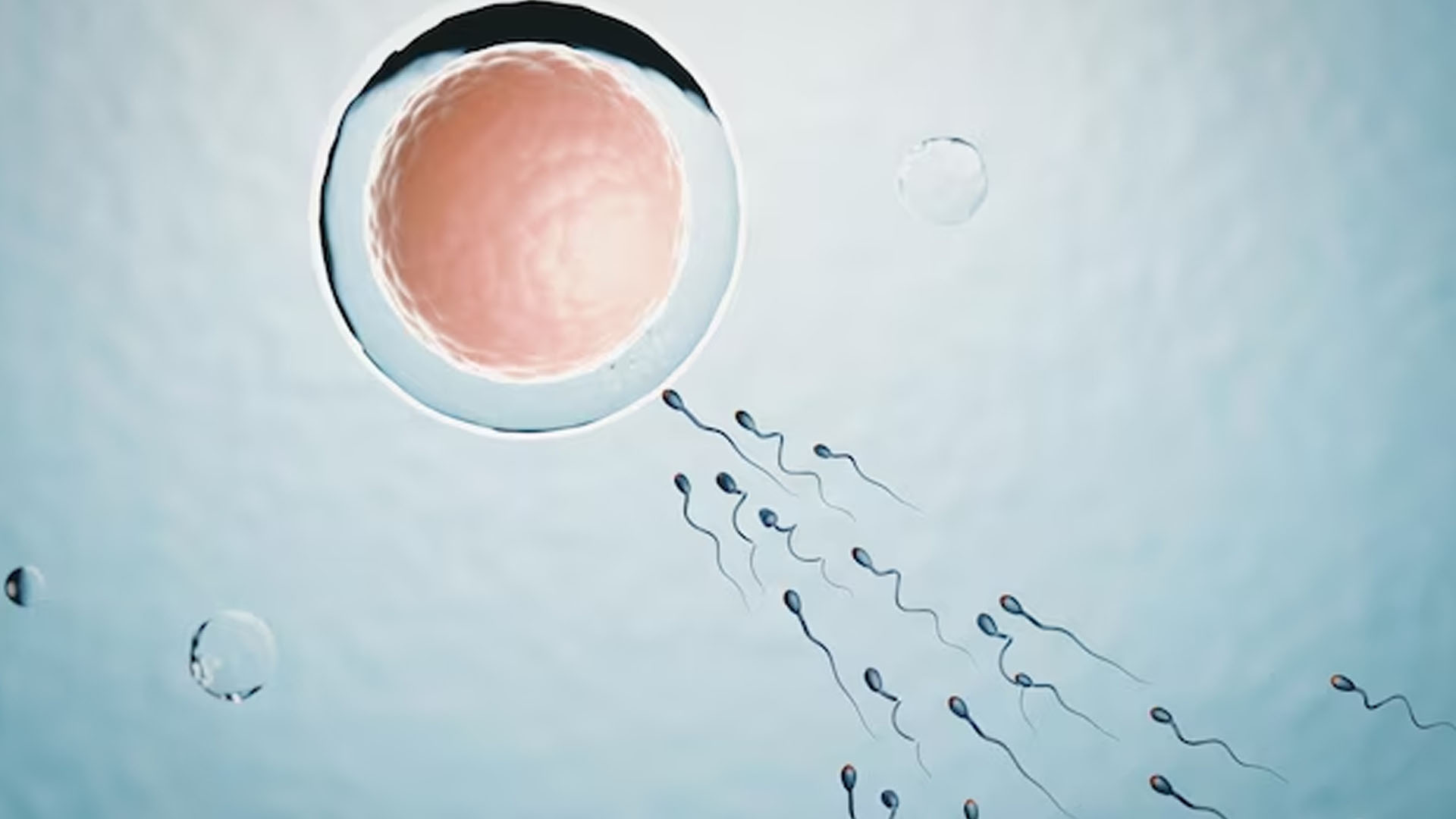 How Soon After an IVF Transfer do Symptoms Typically Begin to Appear?