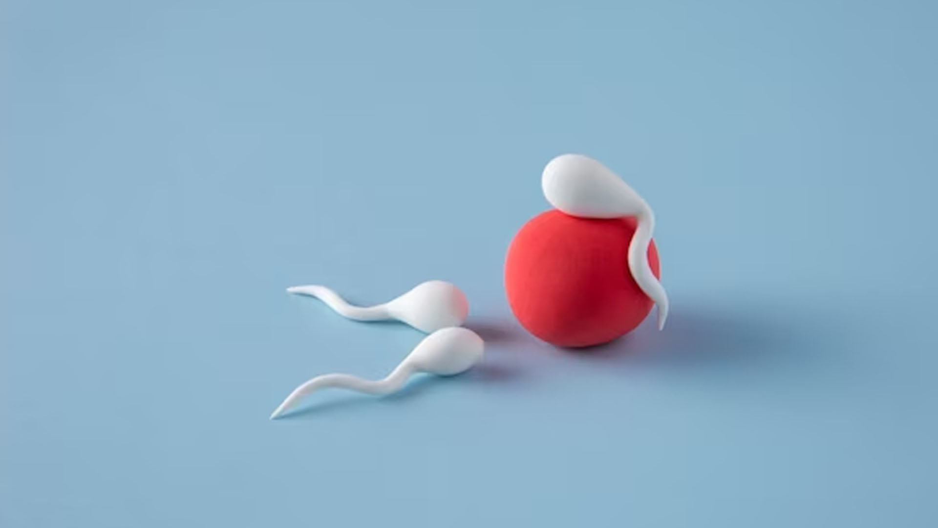 What are the Symptoms of Implantation Bleeding ?