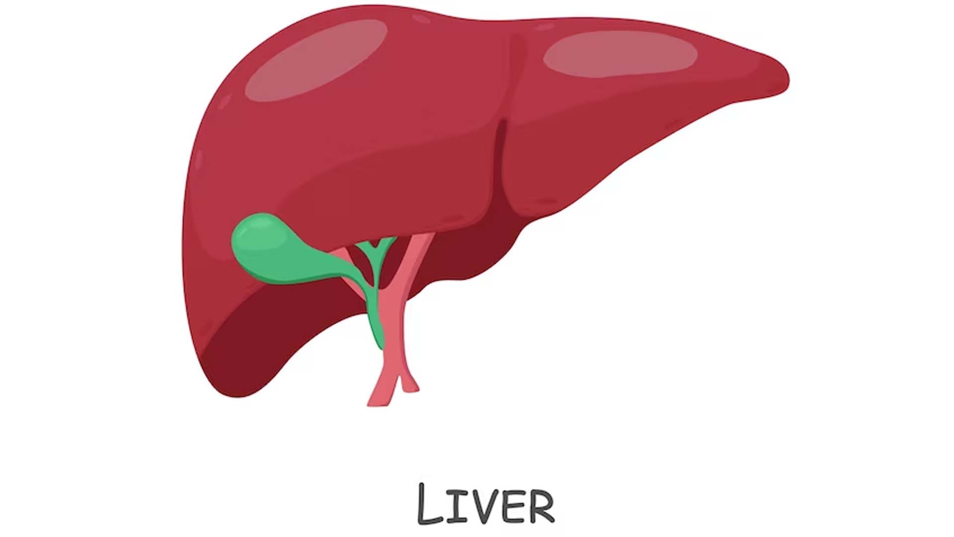 Liver to Swell