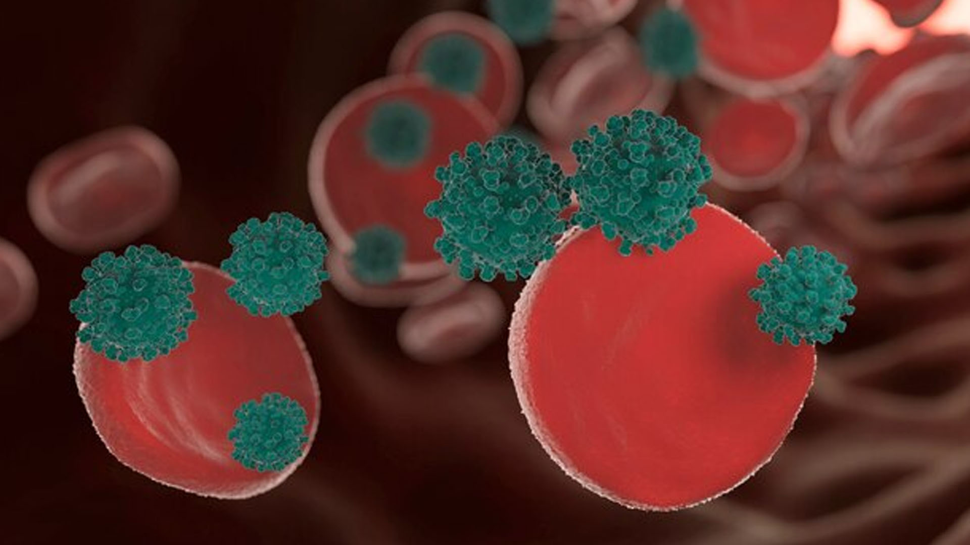 What are the Symptoms of Low Monocytes?