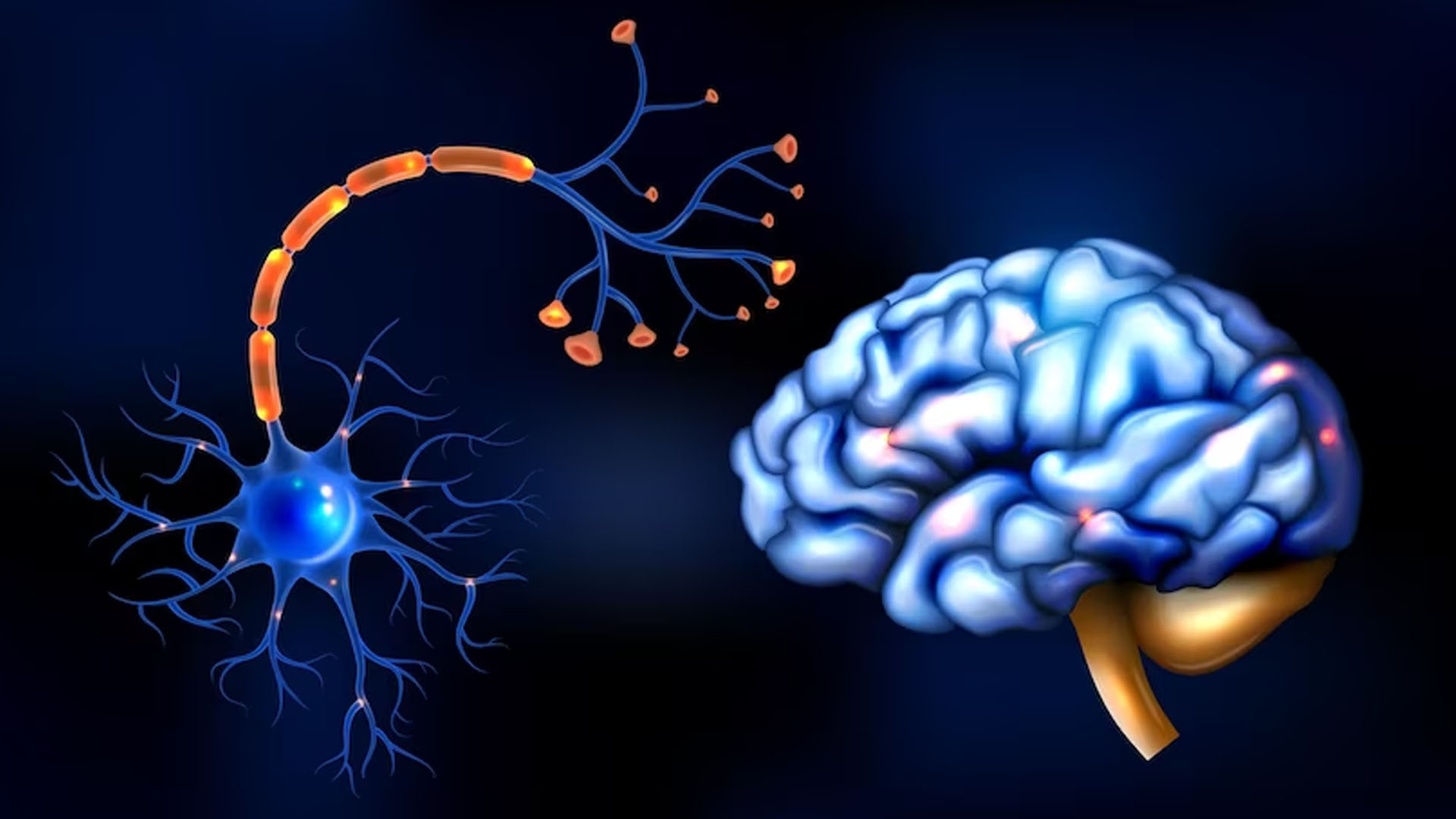 Do Motor Neuron Disease (mnd) Symptoms Come and Go?