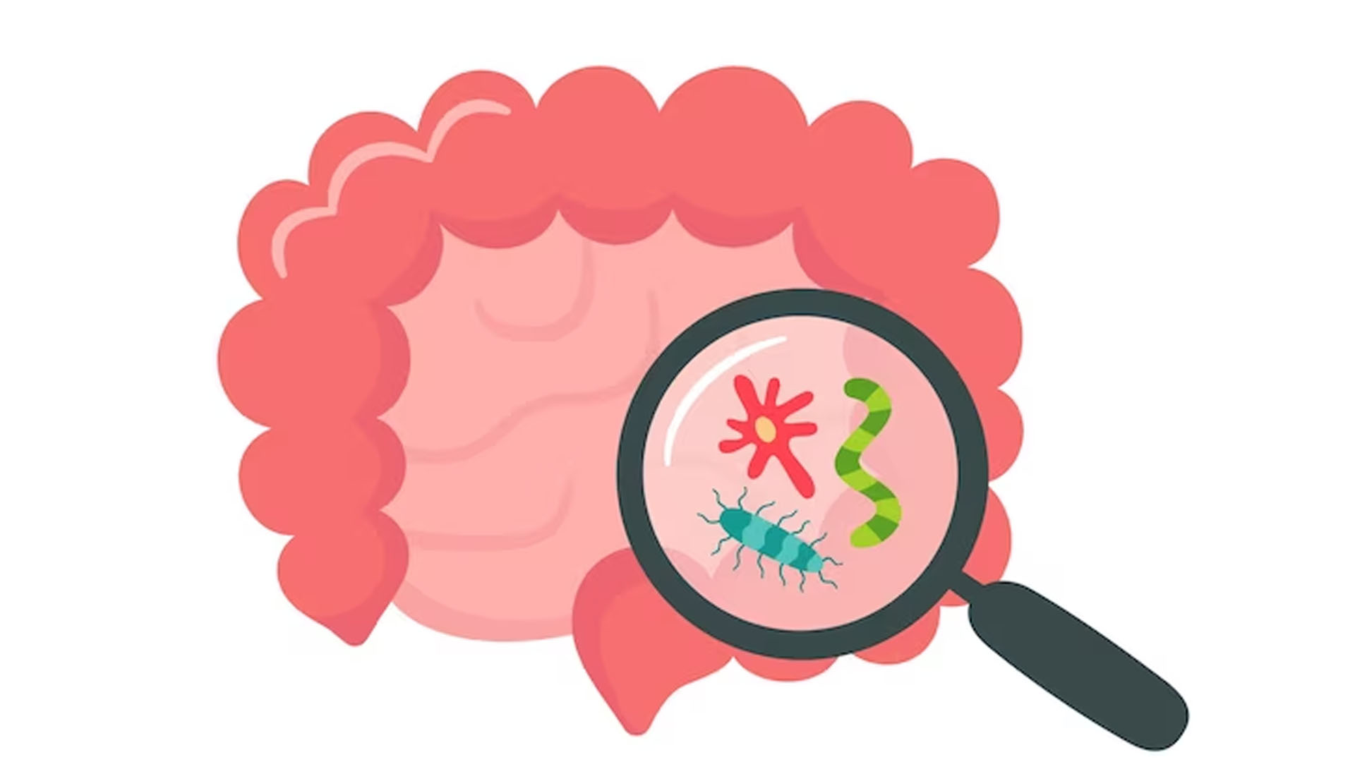 What are the Symptoms of Pinworms in Adults?