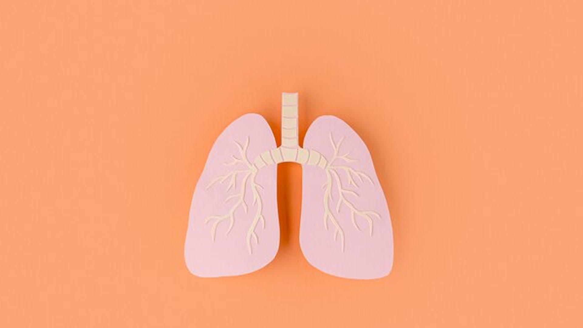 What are the Symptoms of Pnemothorax?