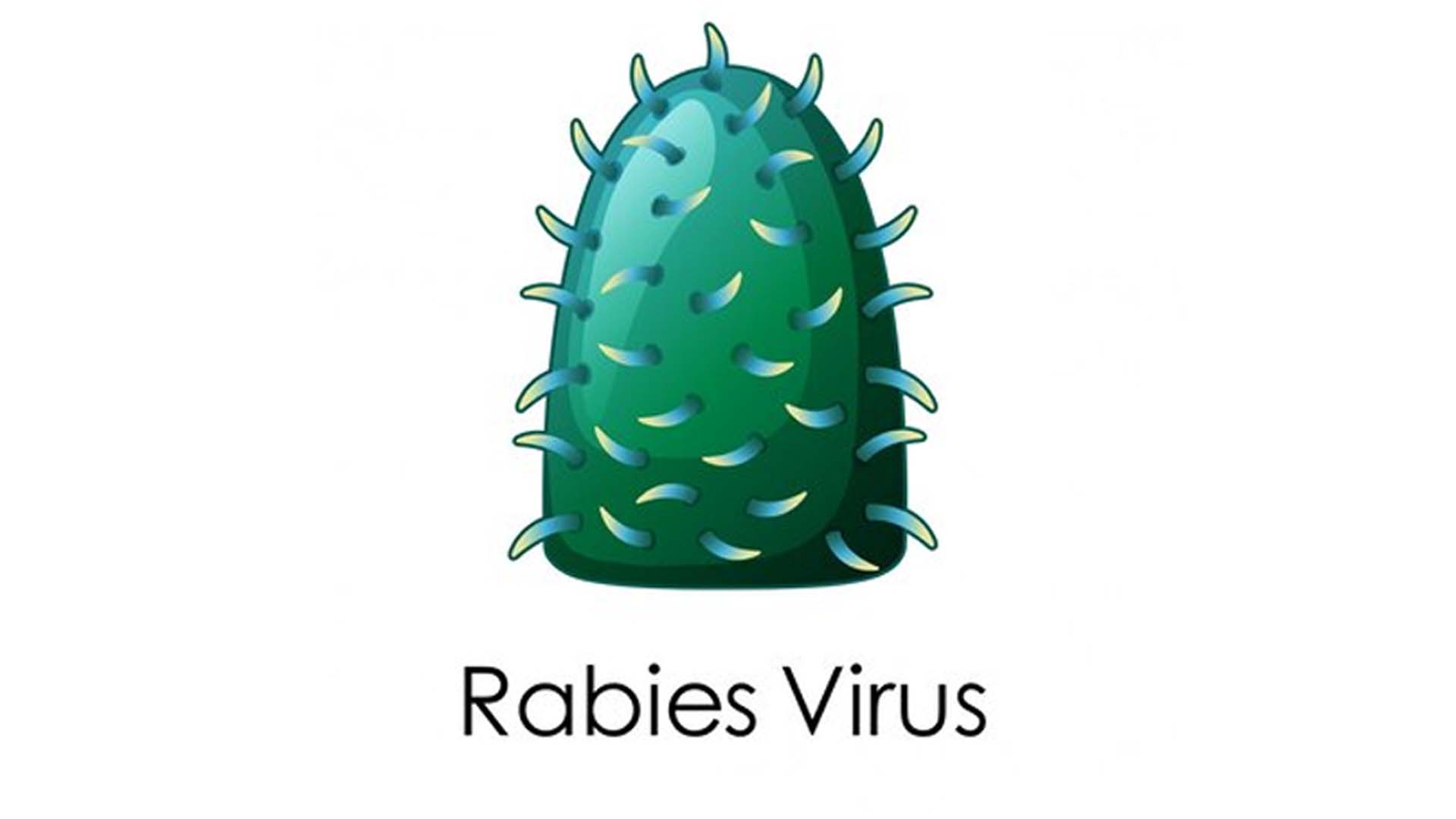 Rabies