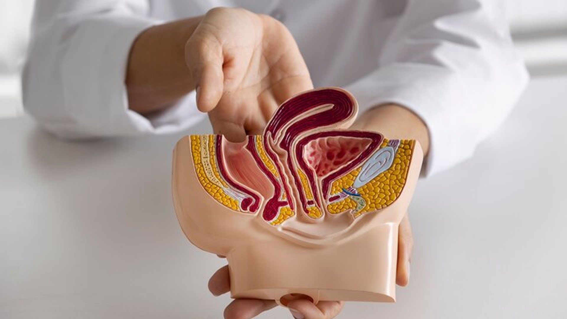 What are the Symptoms of Rectal Cancer?