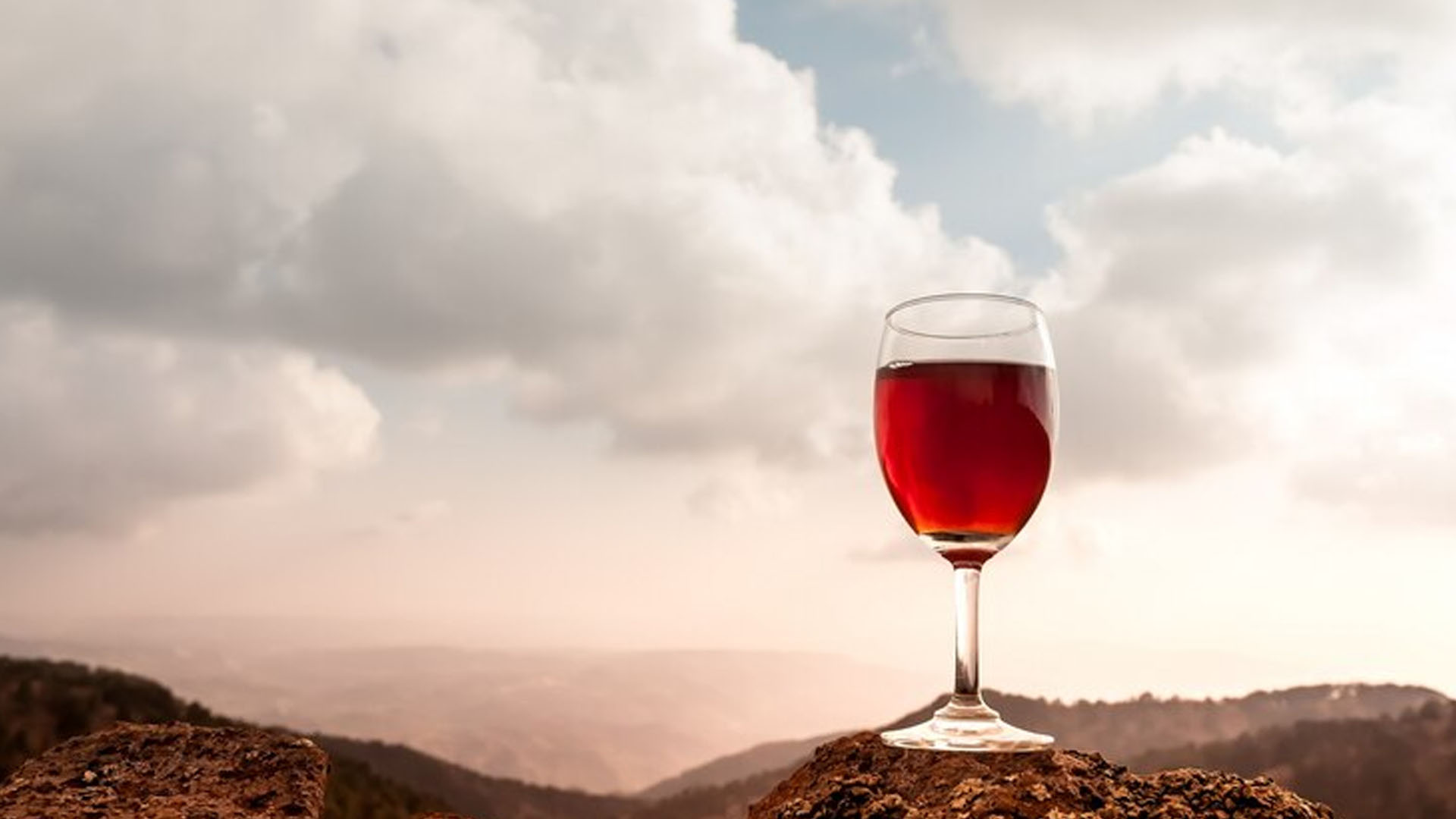 What are the Health Benefits of Red Wine?