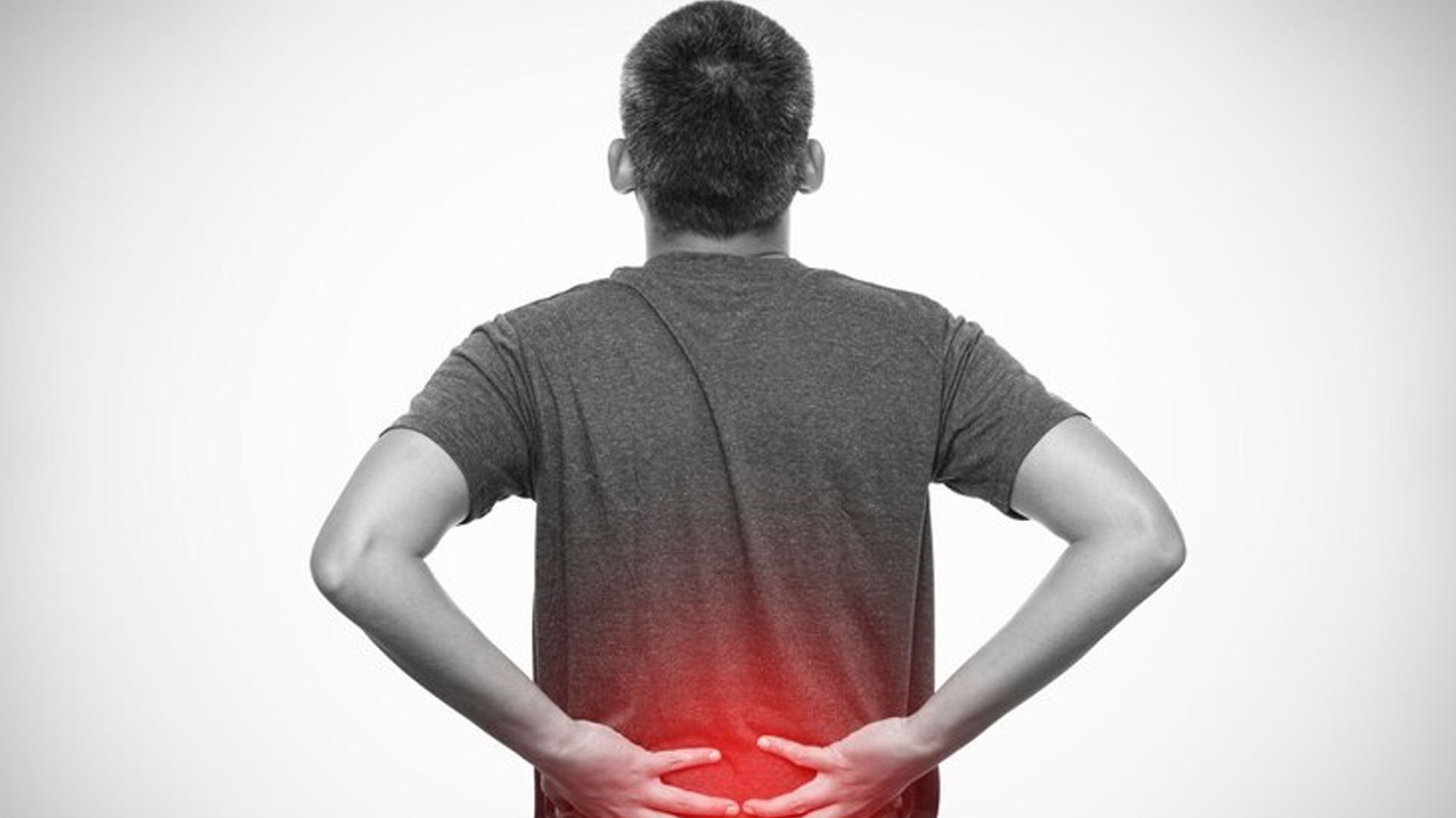 What are the Symptoms of Renal Parenchymal Disease?