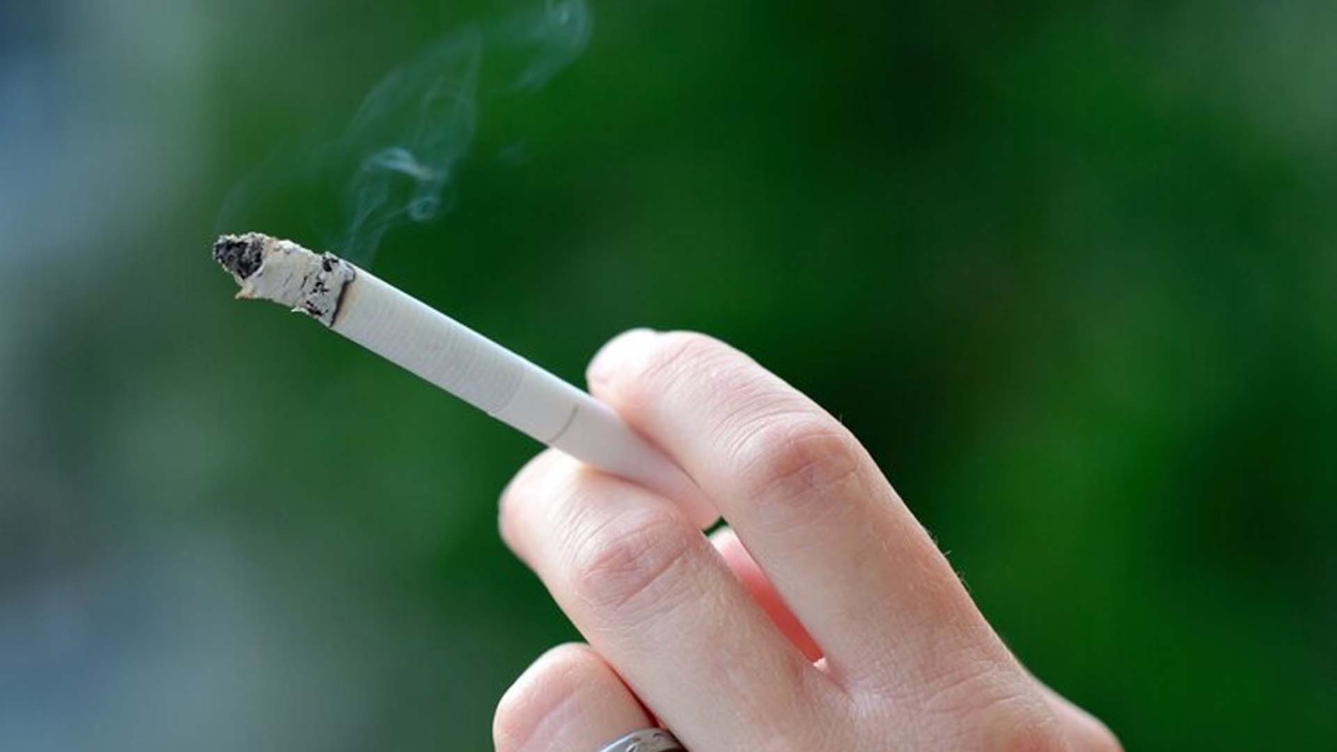 Person Holding cigar in Hand
