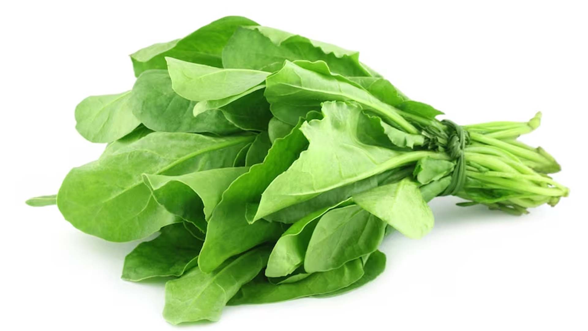 Palak