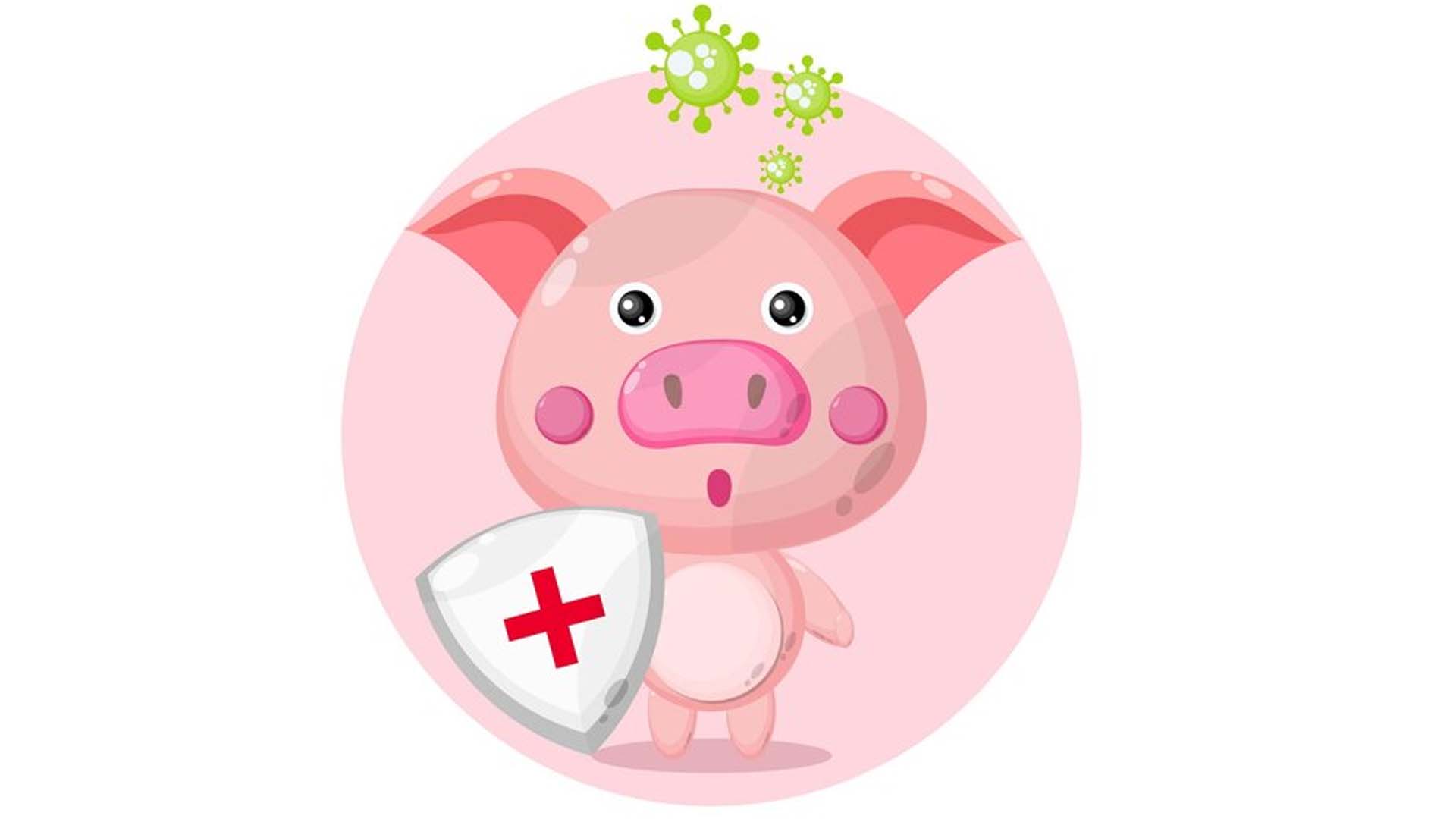 Swine Flu or H1N1 influenza