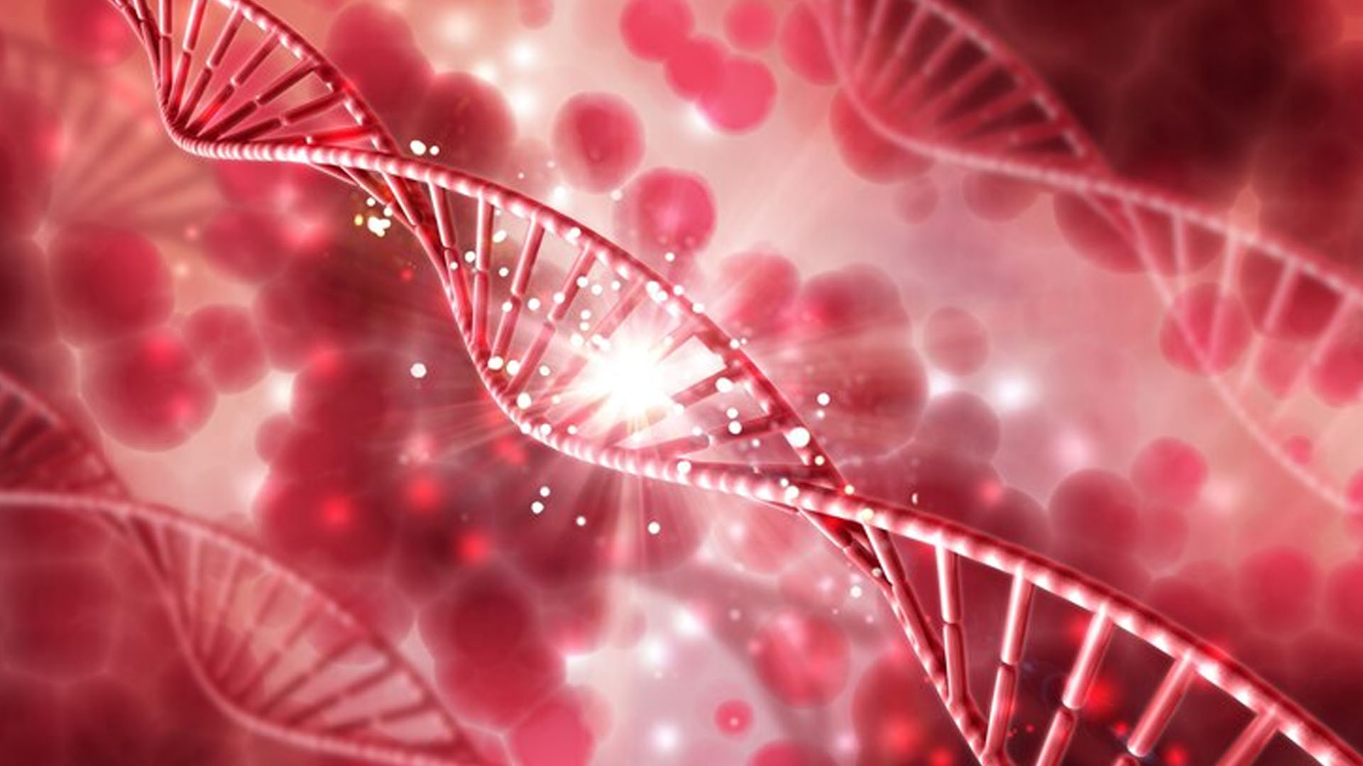 What are the Symptoms of Thalassemia Trait?