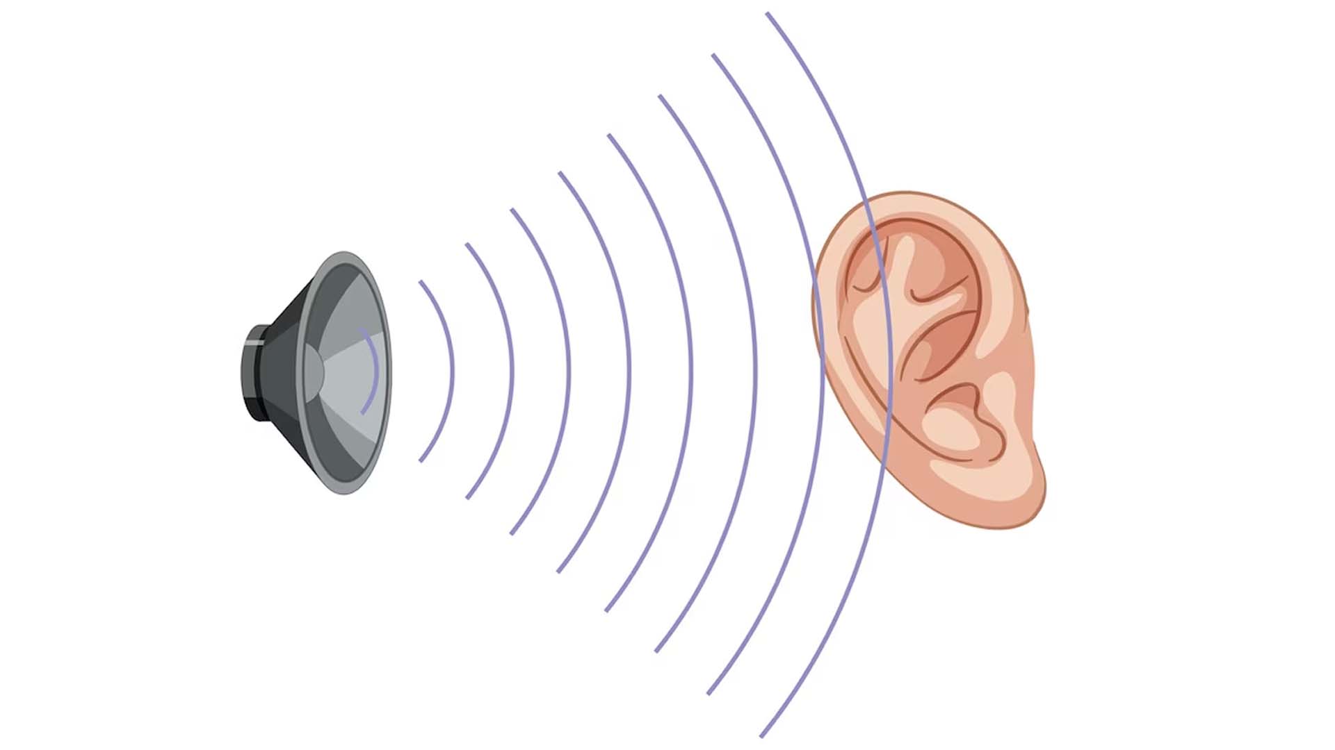Tinnitus or Hearing Loss
