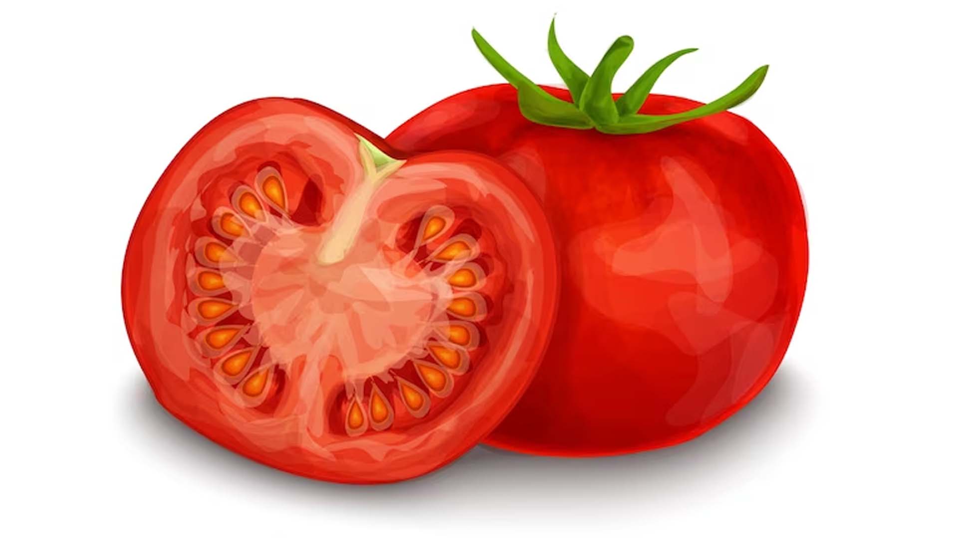Tomato and Seeds