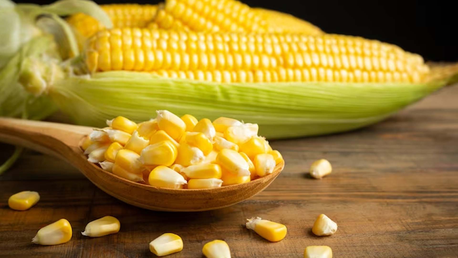 Corn