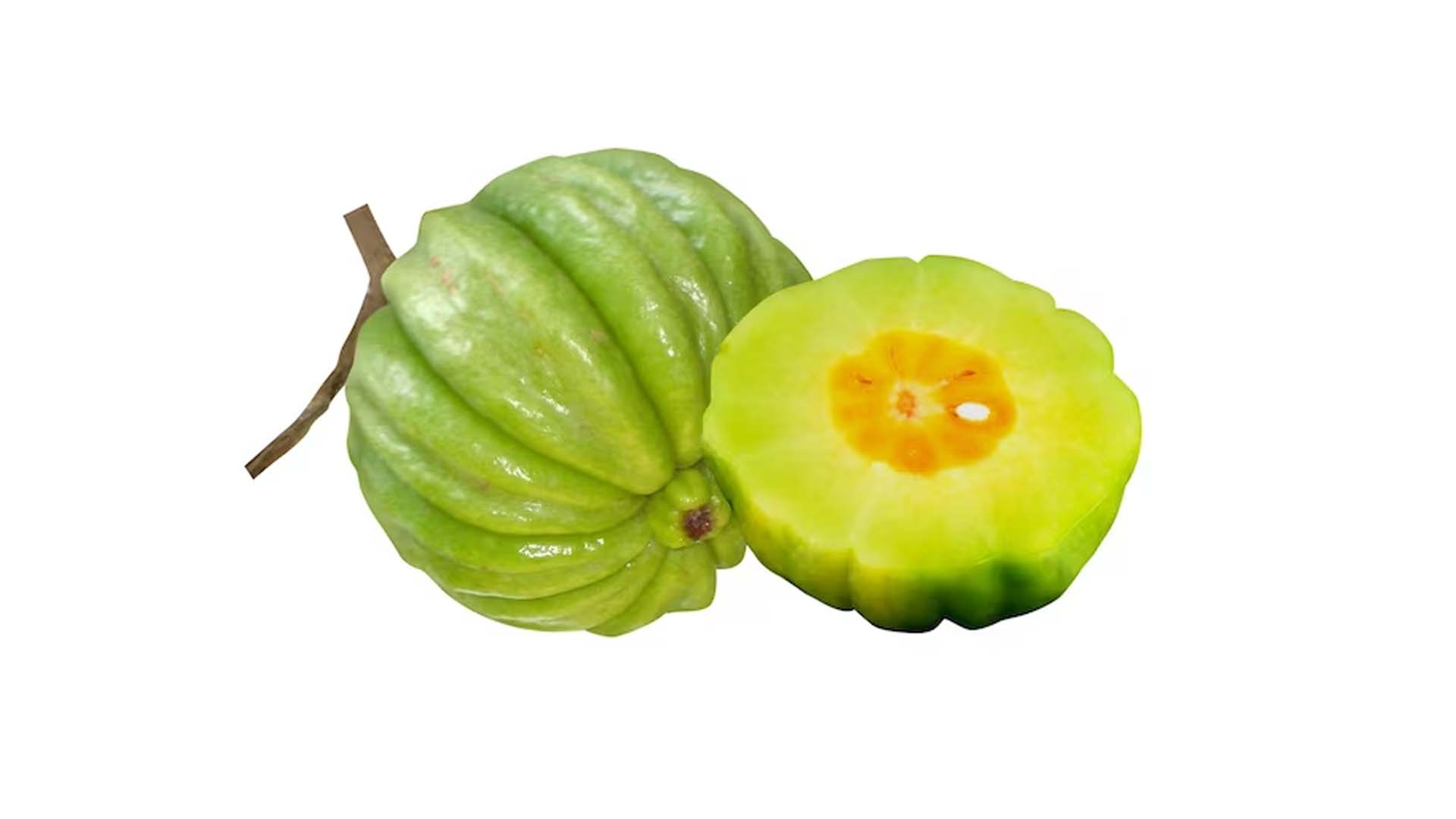 Garcinia cambogia