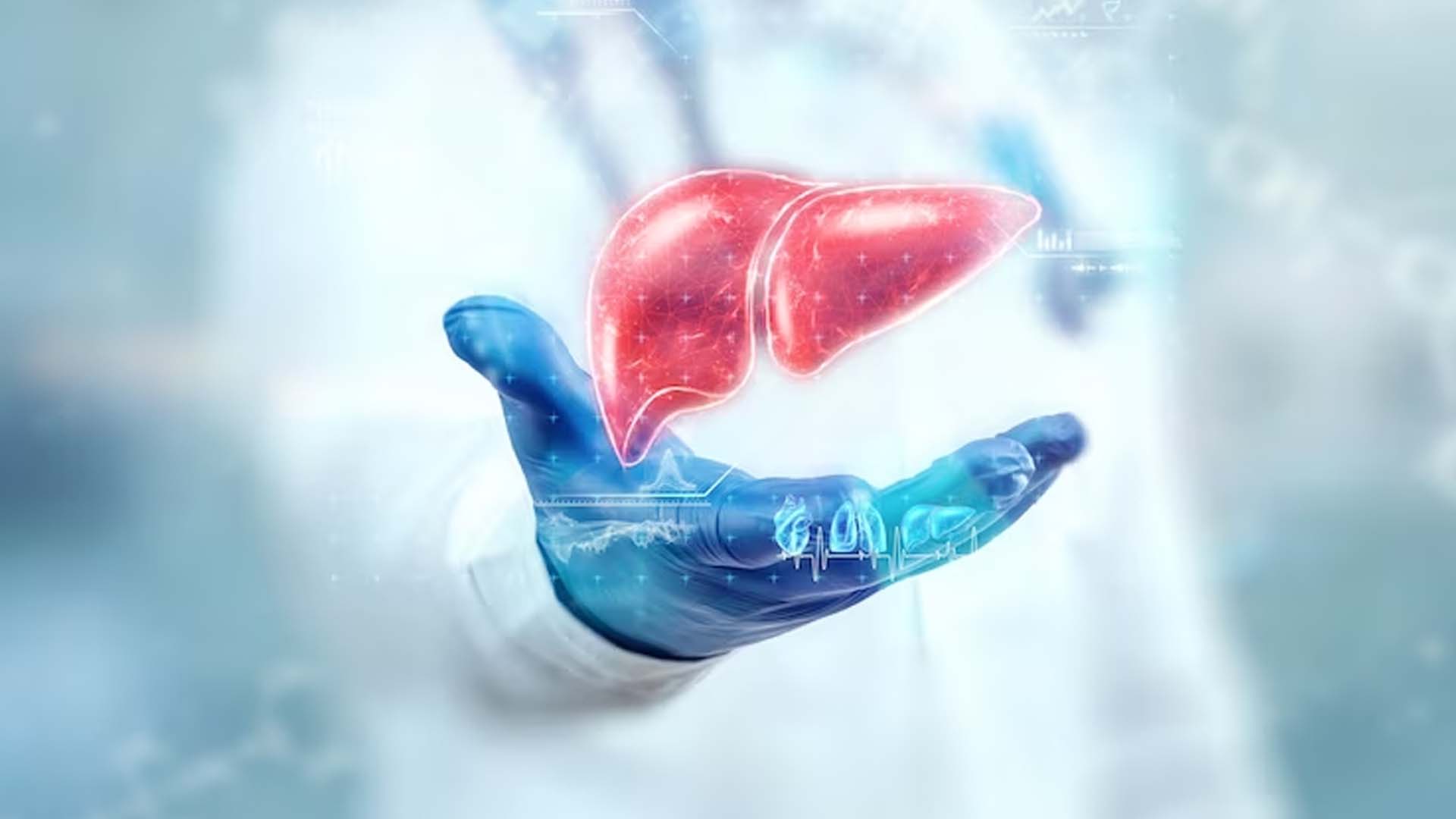 Liver