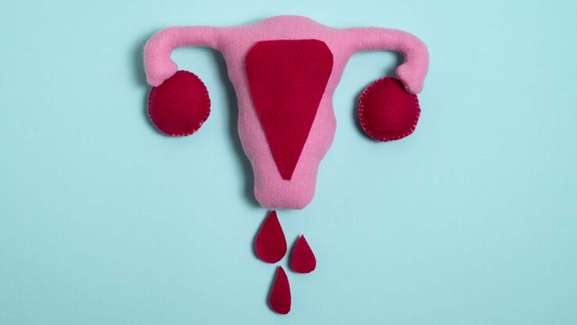 Menstrual Blood Concept