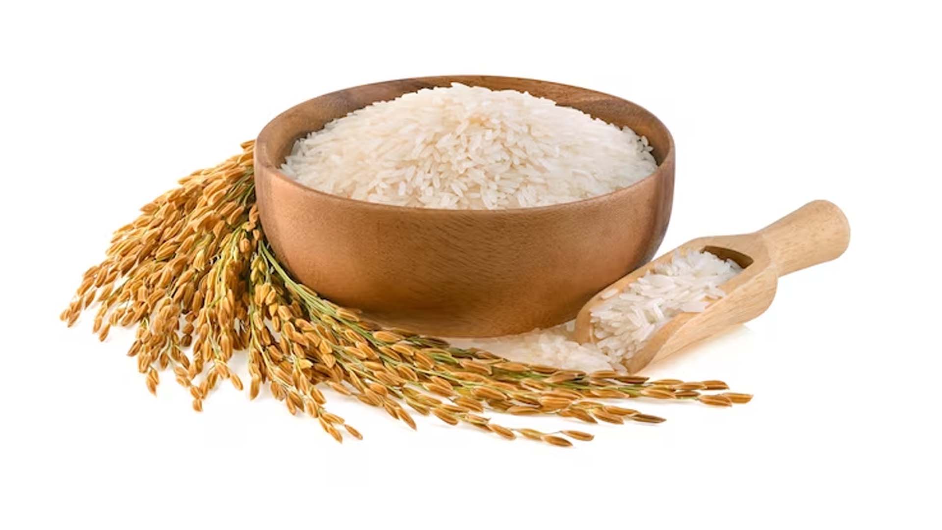 Rice