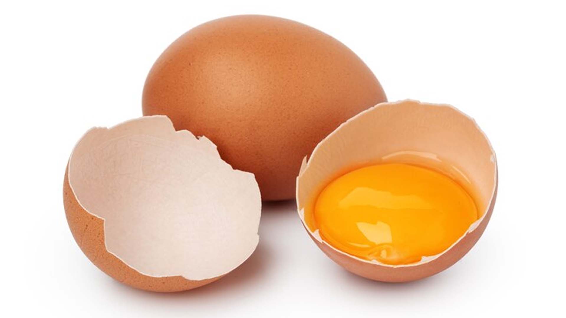Egg Yolk