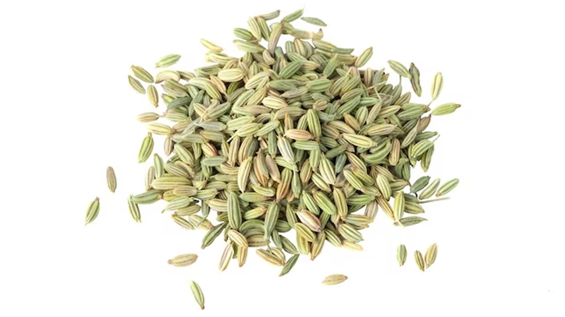 Fennel Seeds