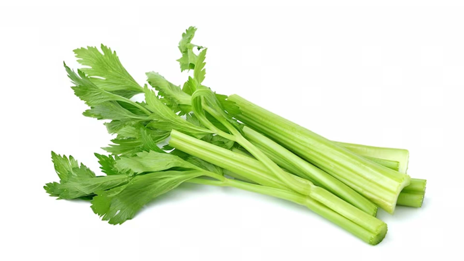 Celery