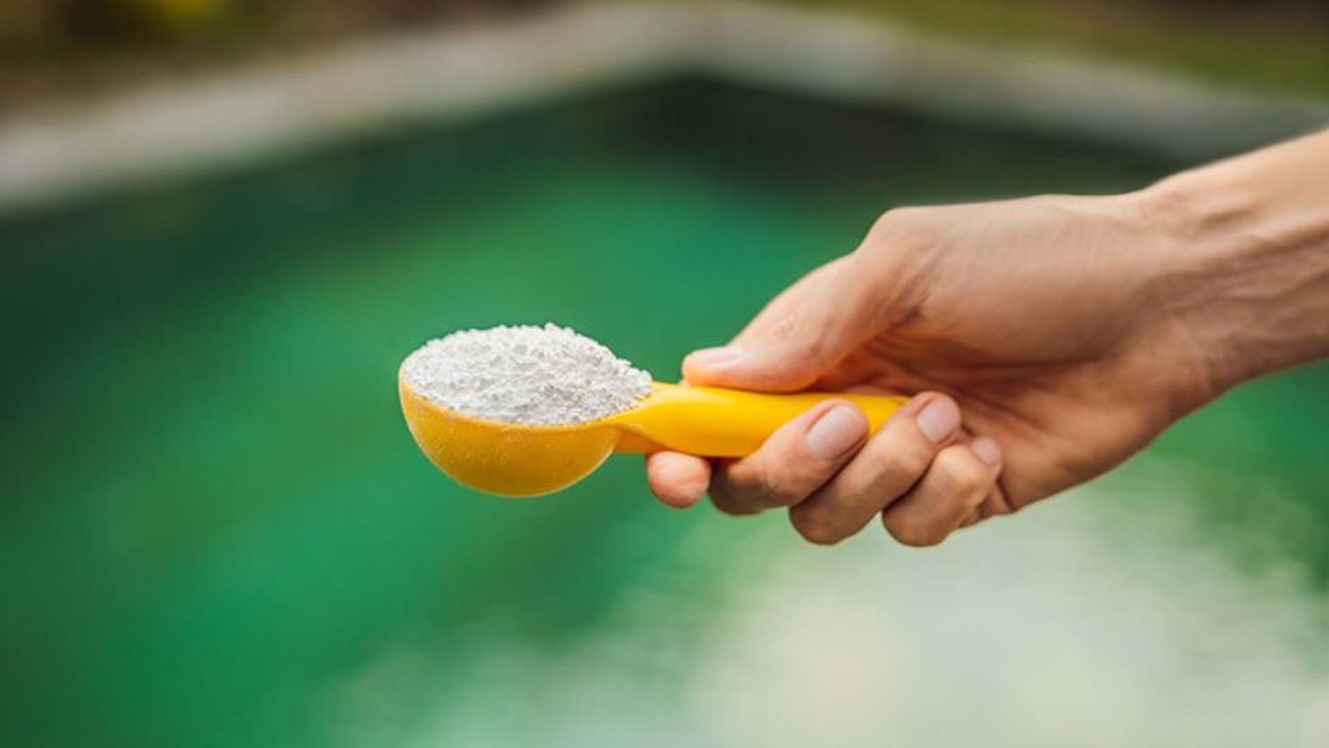 Pouring chlorine in Swimming pool