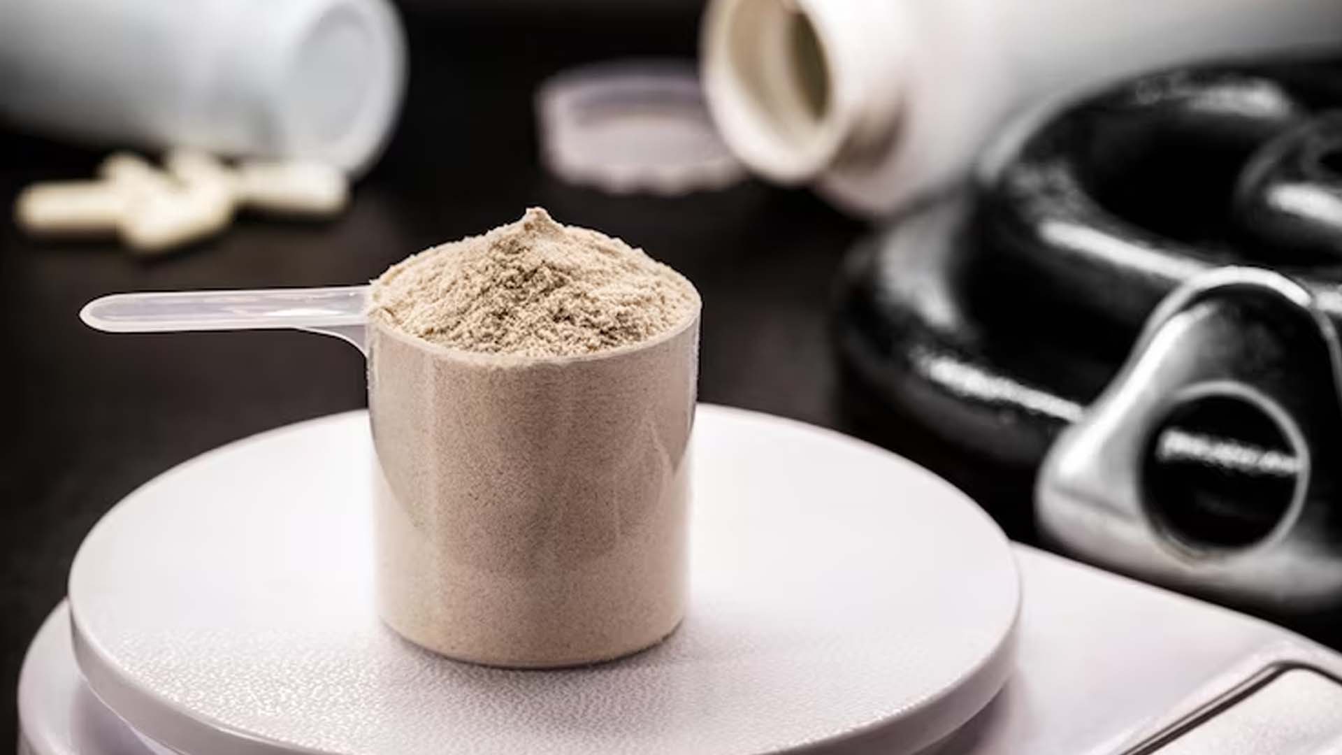 Whey Protein