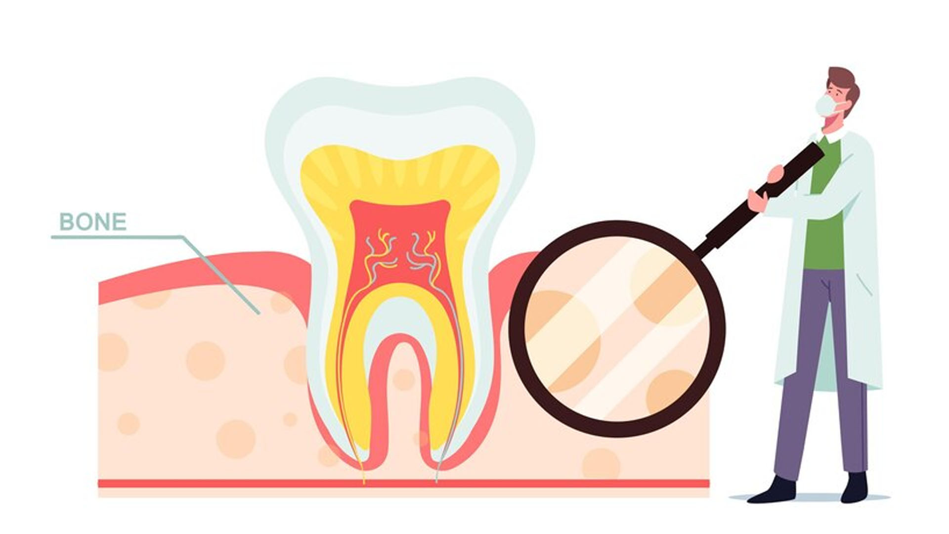 What are the Home Remedies for Tooth Cavity?