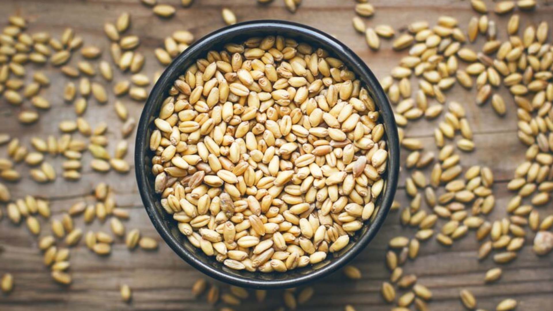 Wheat grains