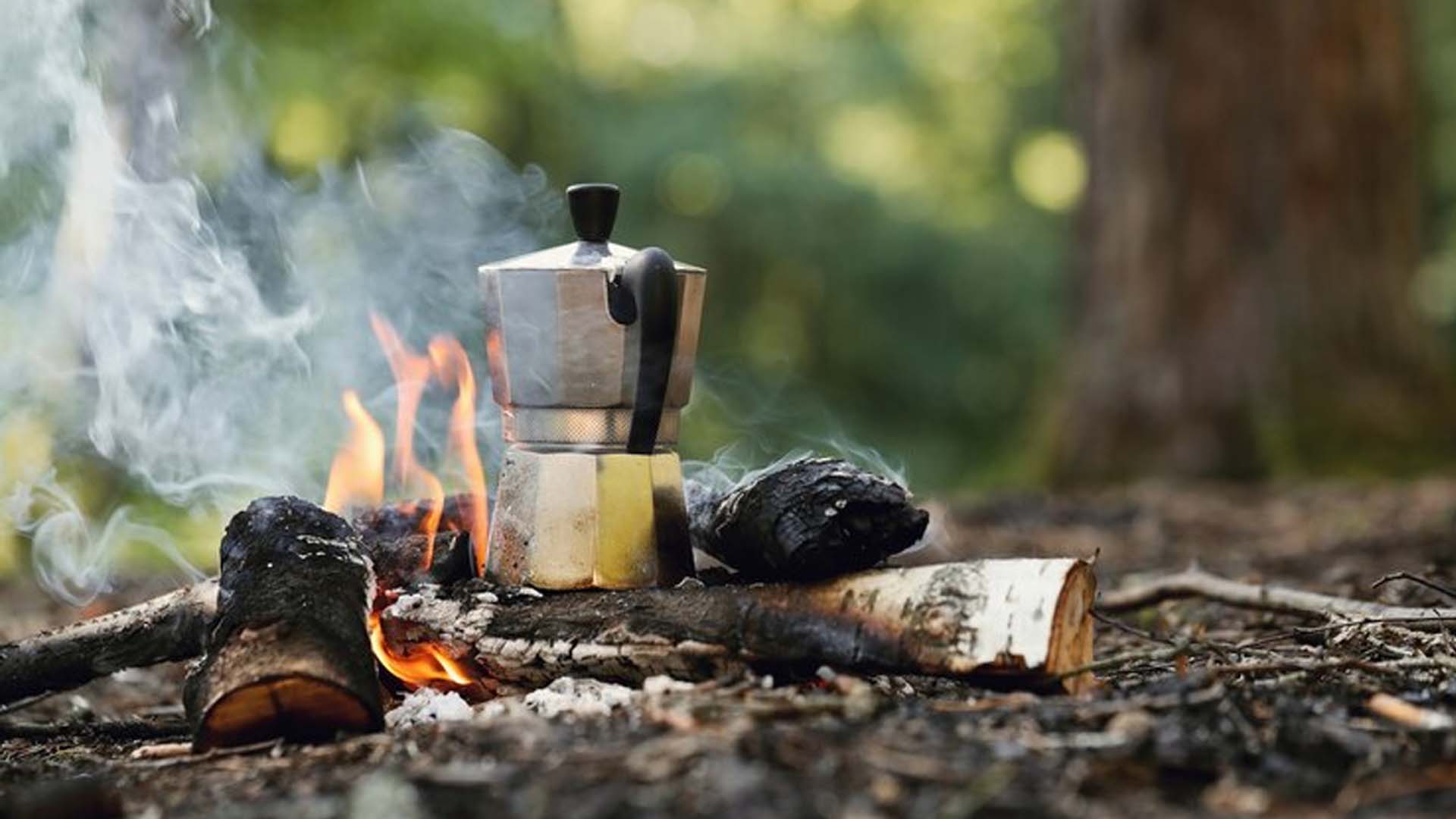 wood burning stoves