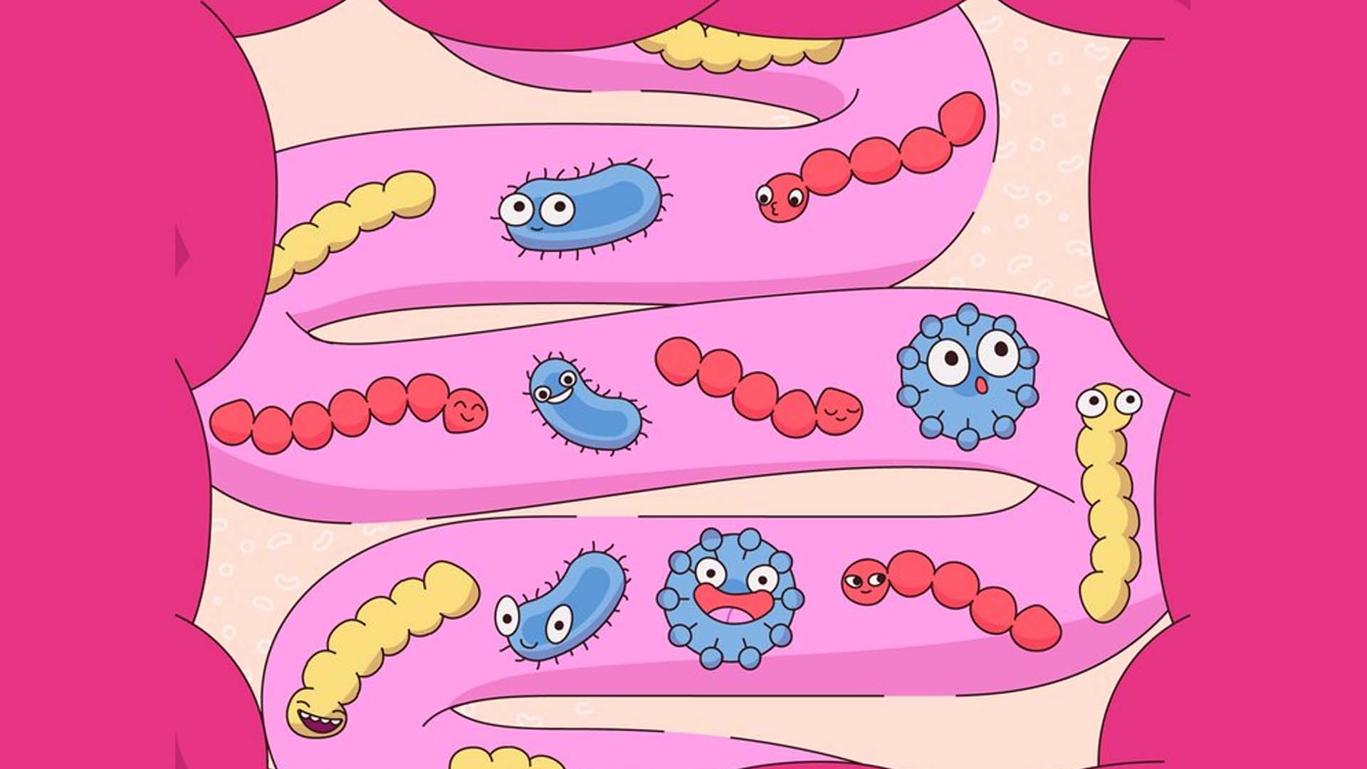 Stomach Worms