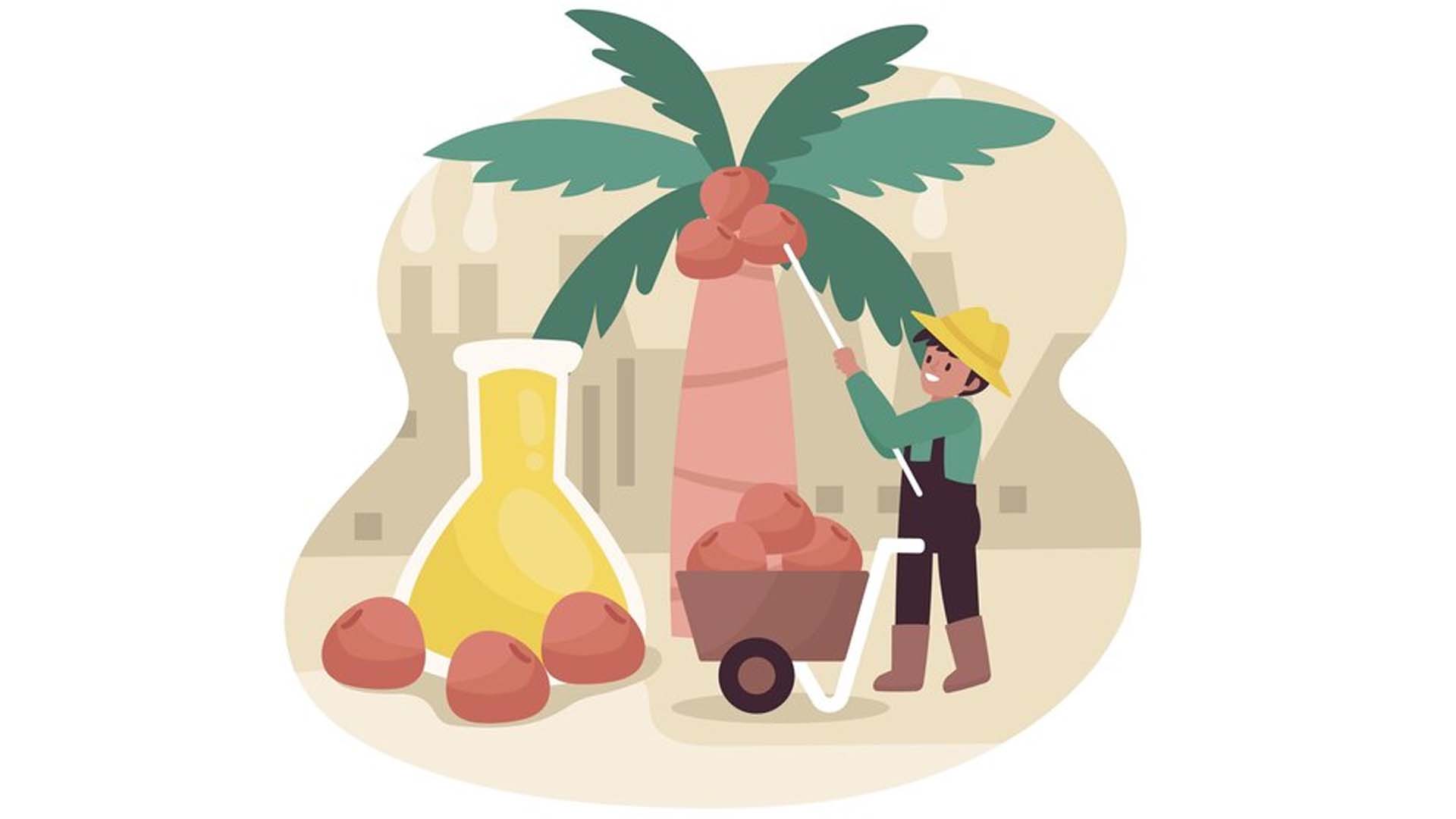 Palm Oil