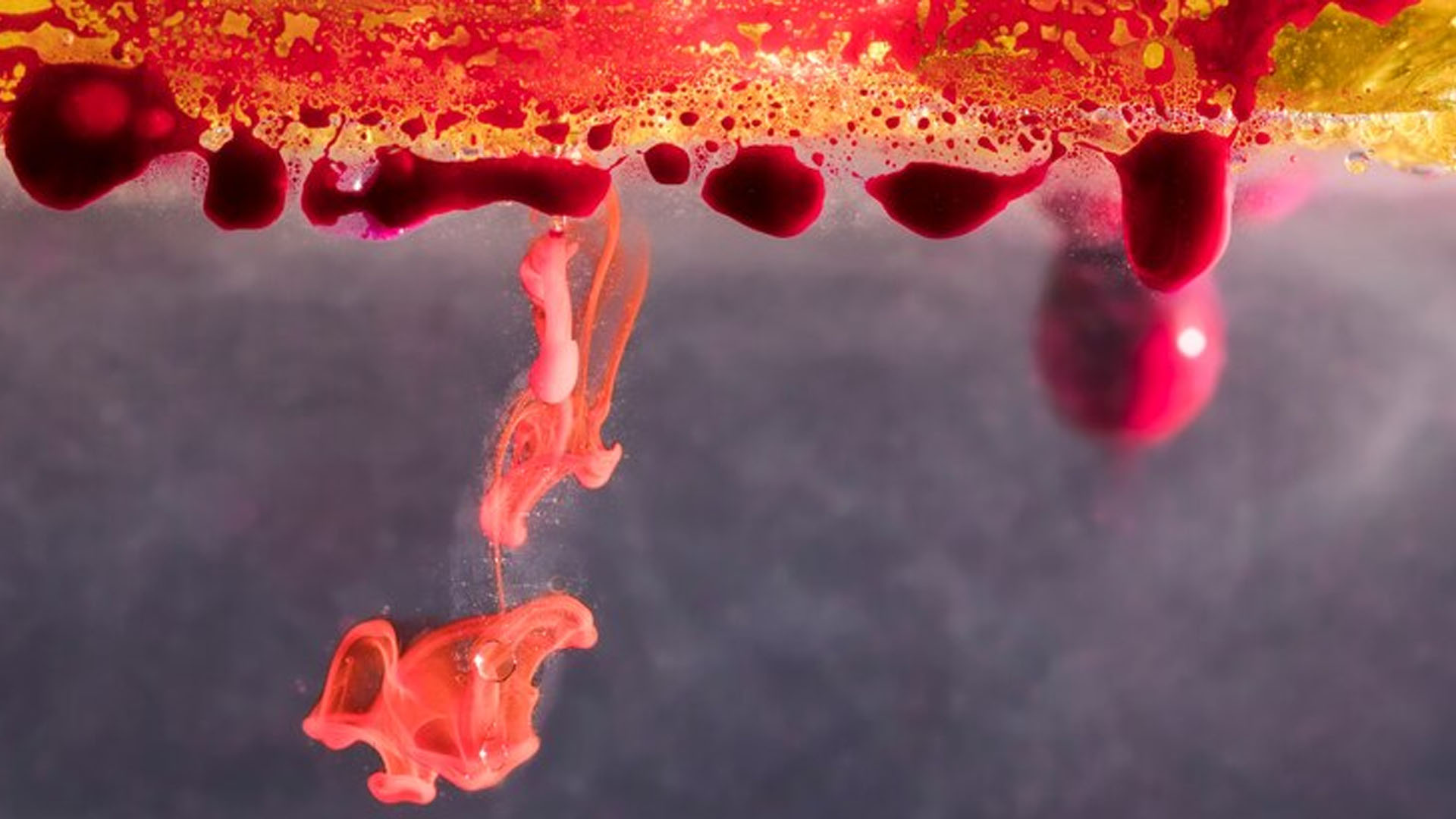What are the Home Remedies to treat Blood in Stool?