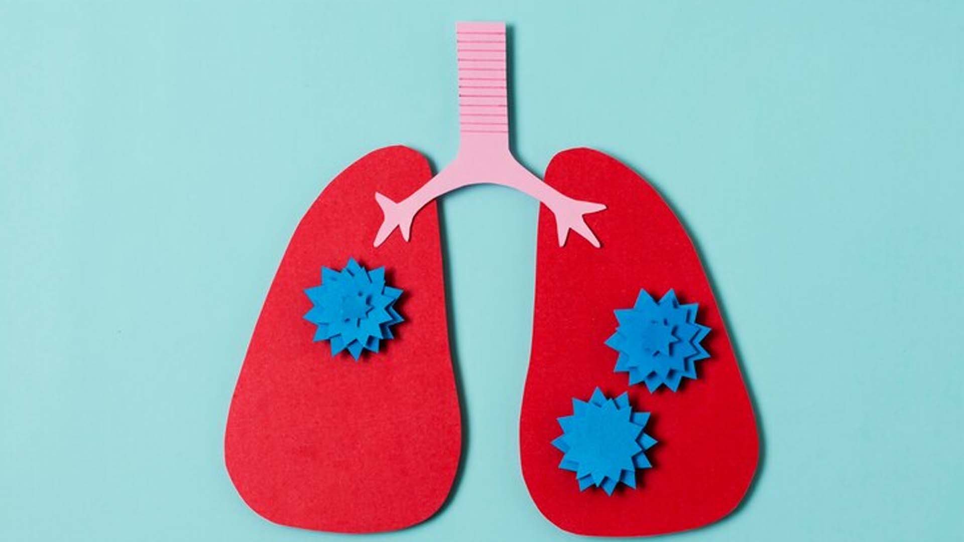 What are the Home Remedies to treat Lung Infection?