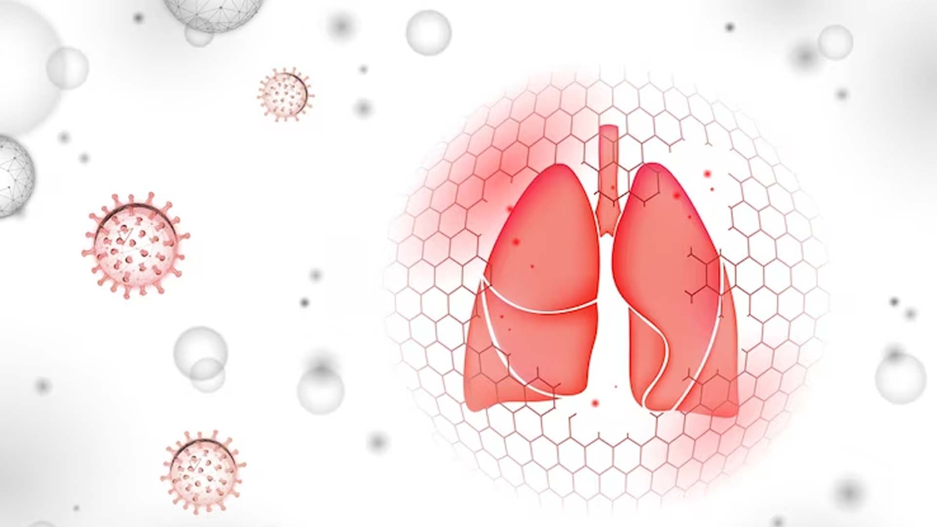 Lungs