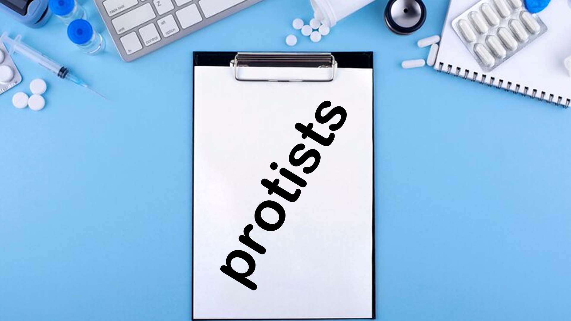 Protists