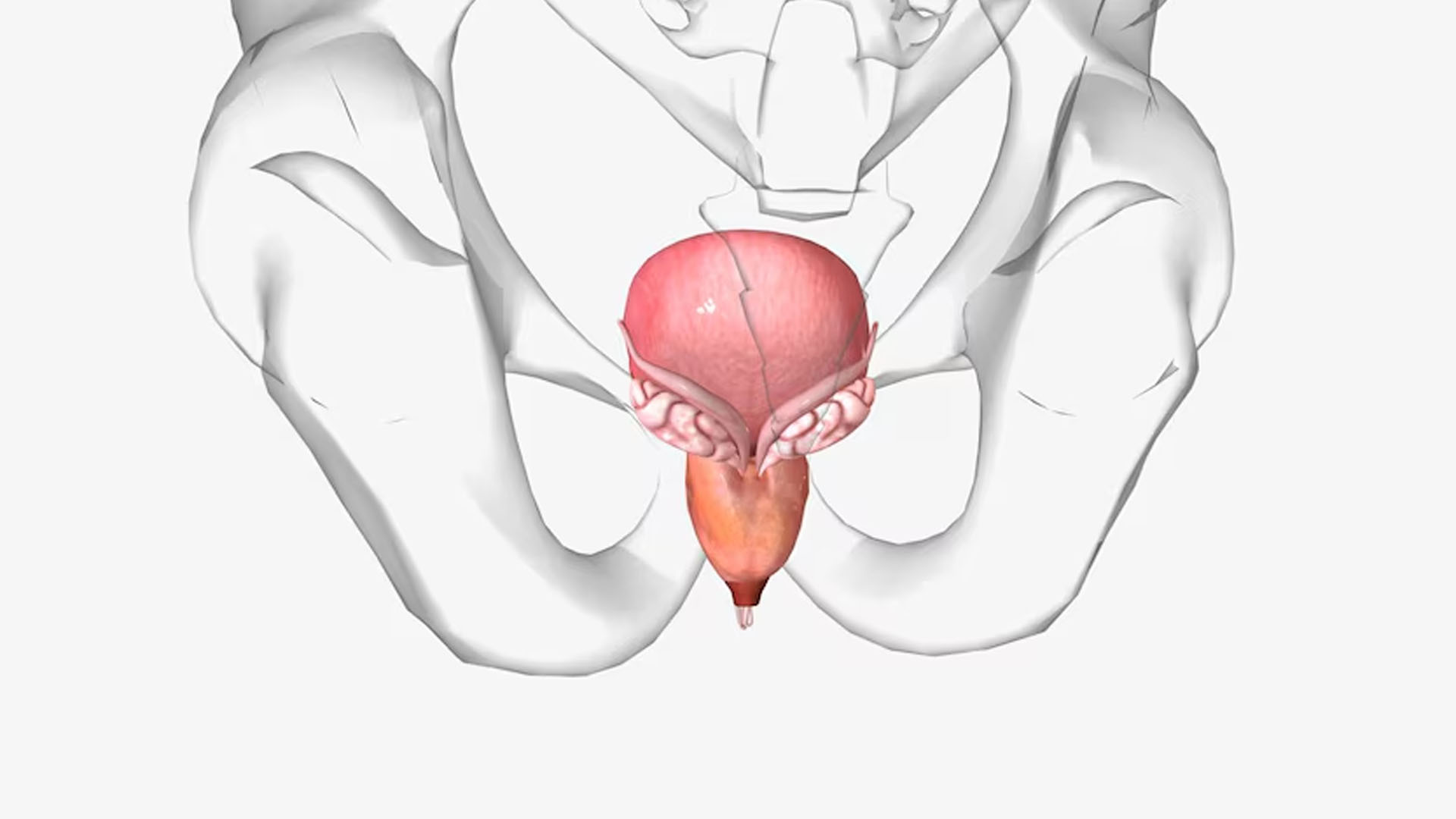 What are the Home Remedies for Anal Fistula?