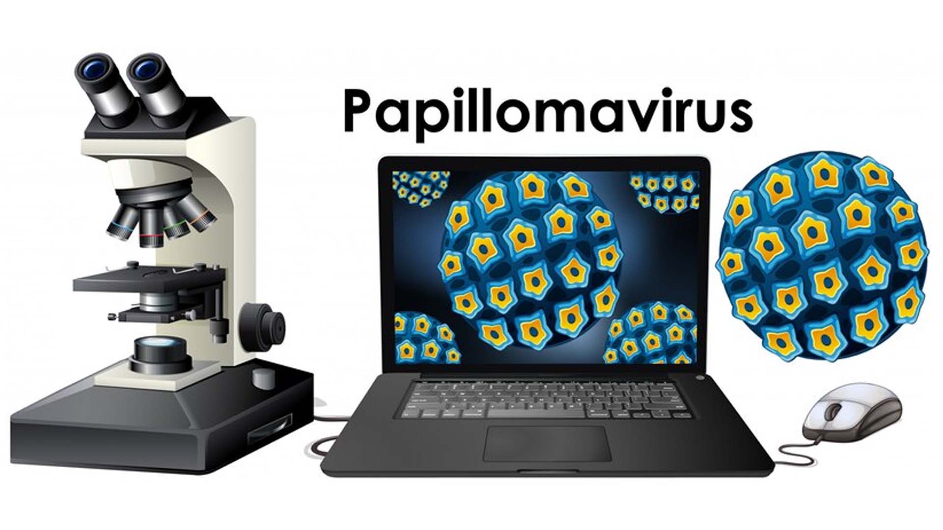 Human papillomavirus (HPV)