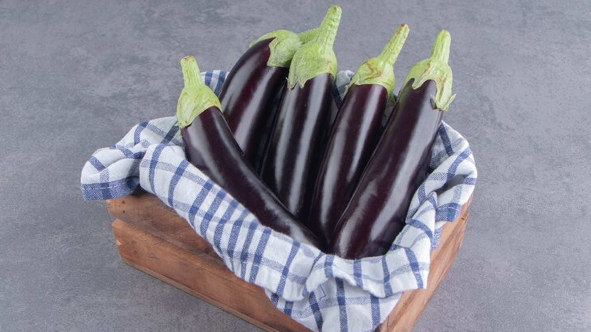 Brinjal or Eggplant
