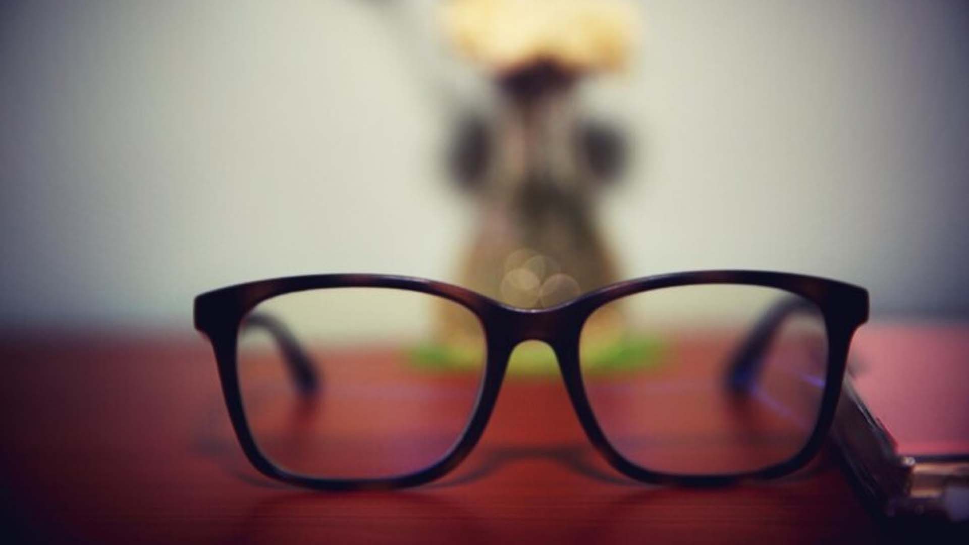 Blurred Vision